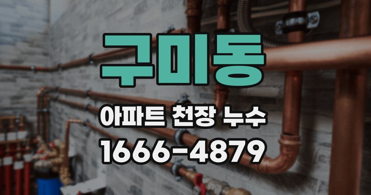 구미동 아파트 천장 누수