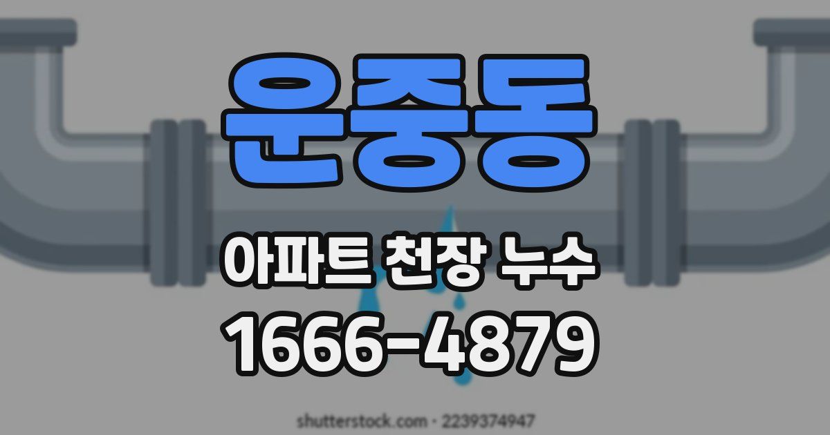 운중동 아파트 천장 누수