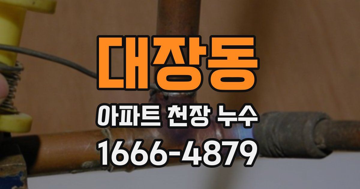 대장동 아파트 천장 누수