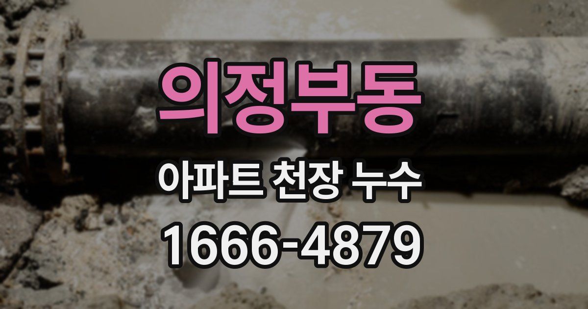 의정부동 아파트 천장 누수