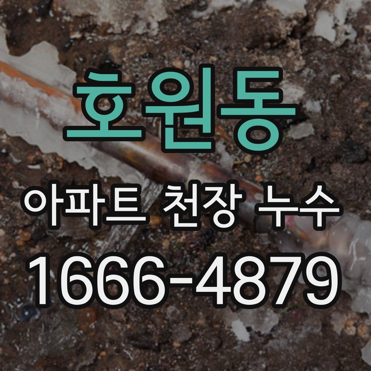 호원동 아파트 천장 누수