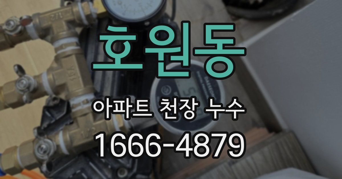 호원동 아파트 천장 누수
