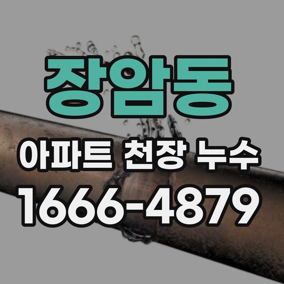 장암동 아파트 천장 누수