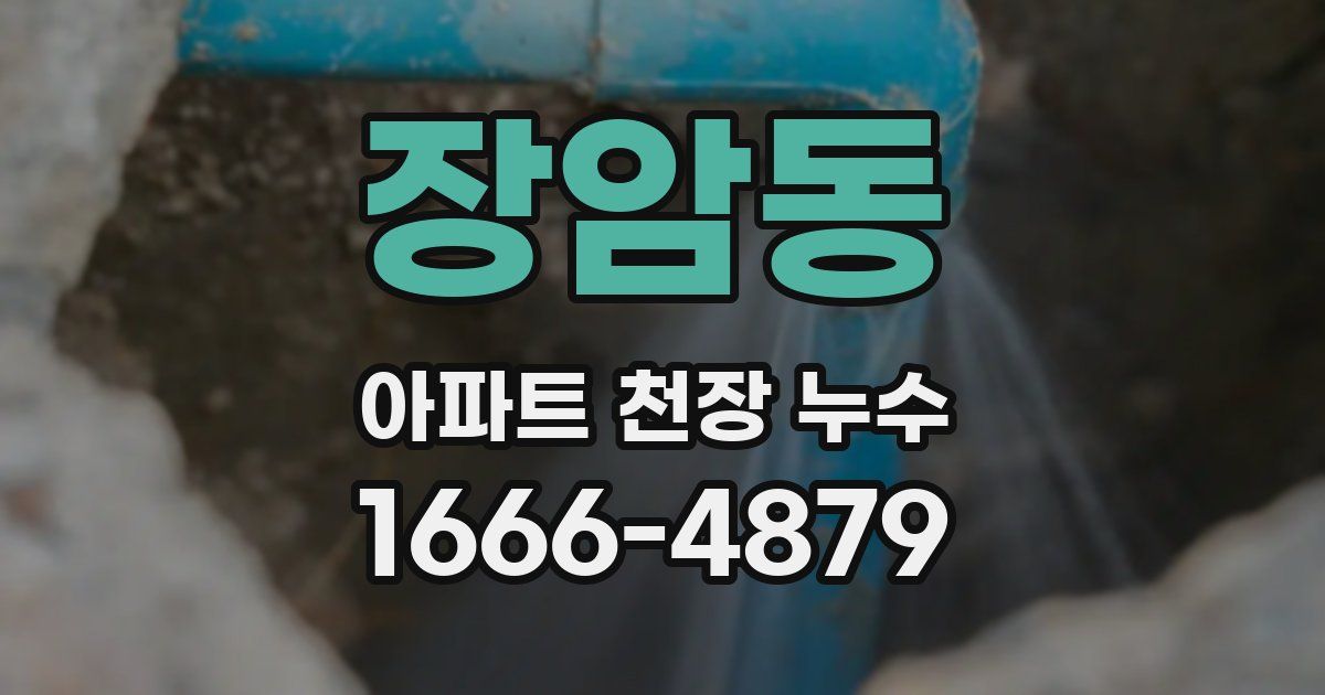 장암동 아파트 천장 누수