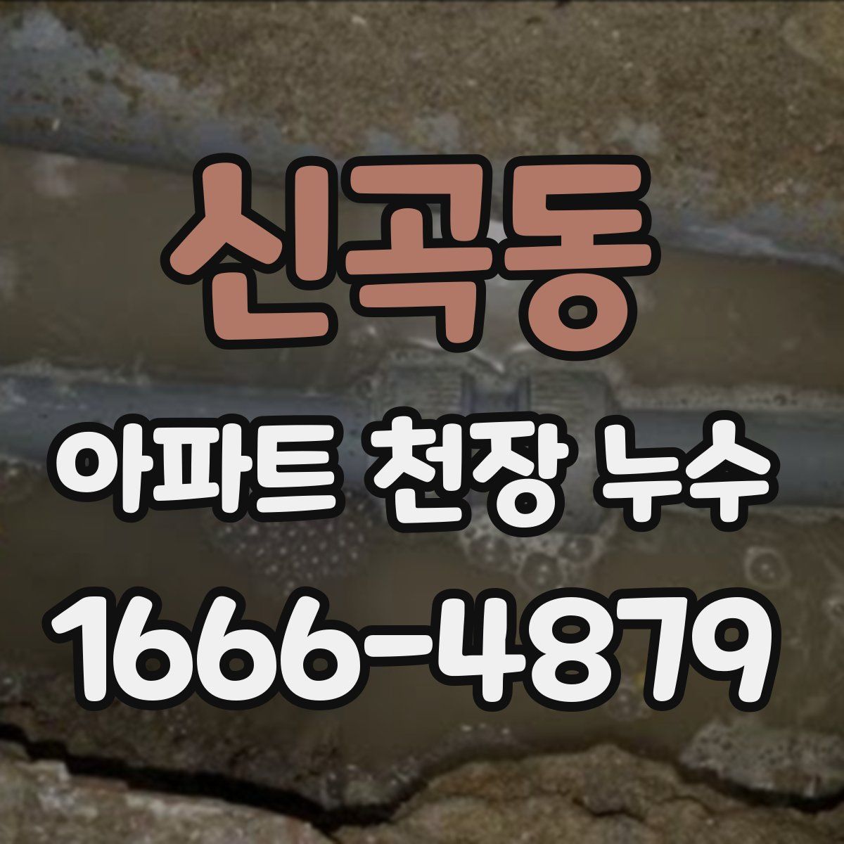 신곡동 아파트 천장 누수