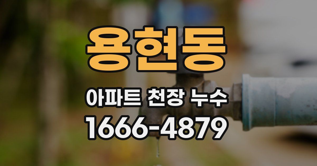 용현동 아파트 천장 누수