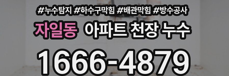 자일동 아파트 천장 누수