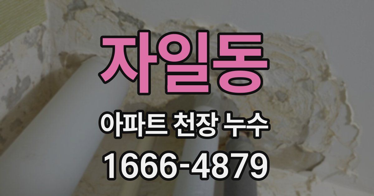자일동 아파트 천장 누수