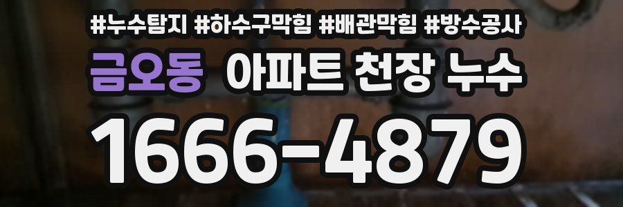 금오동 아파트 천장 누수
