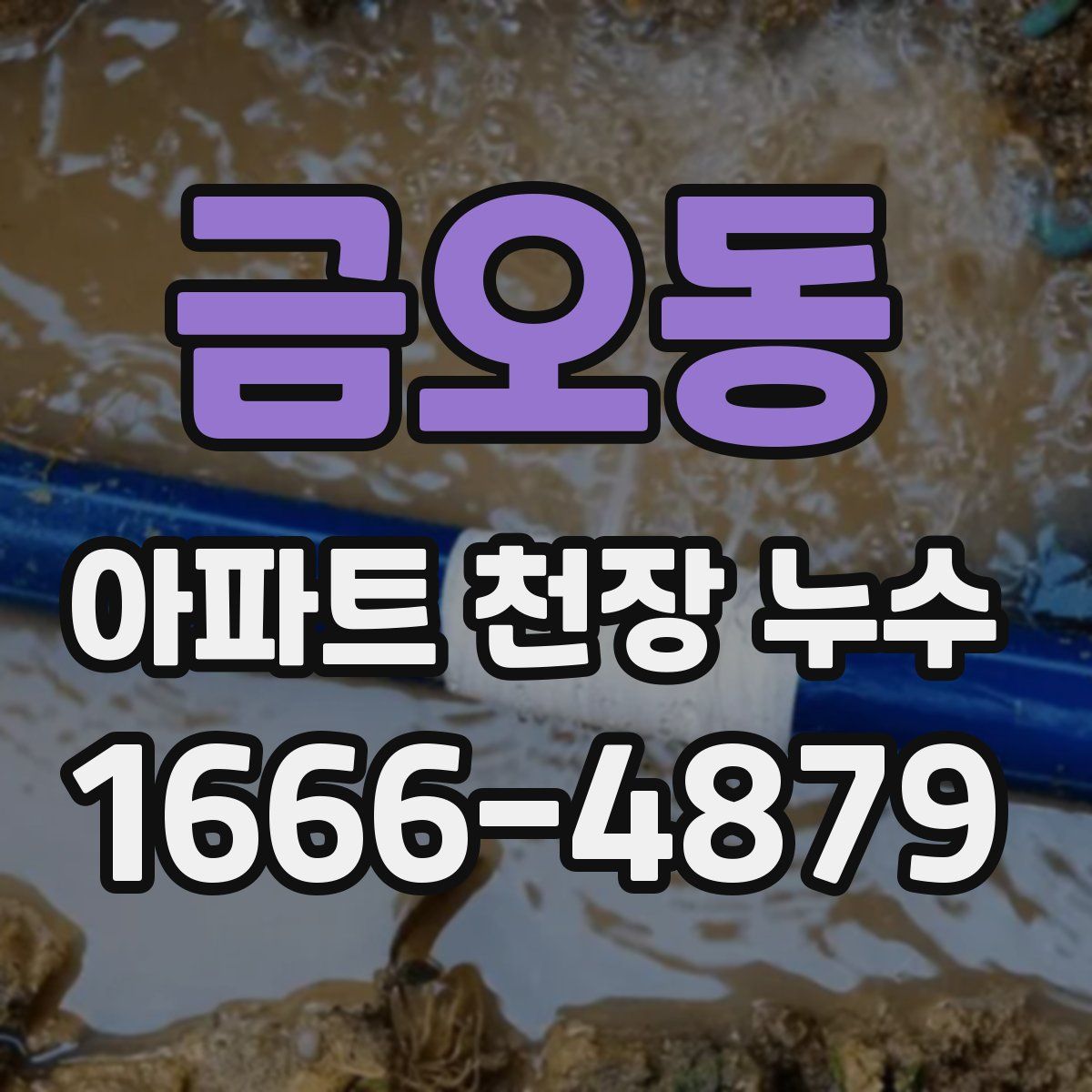 금오동 아파트 천장 누수