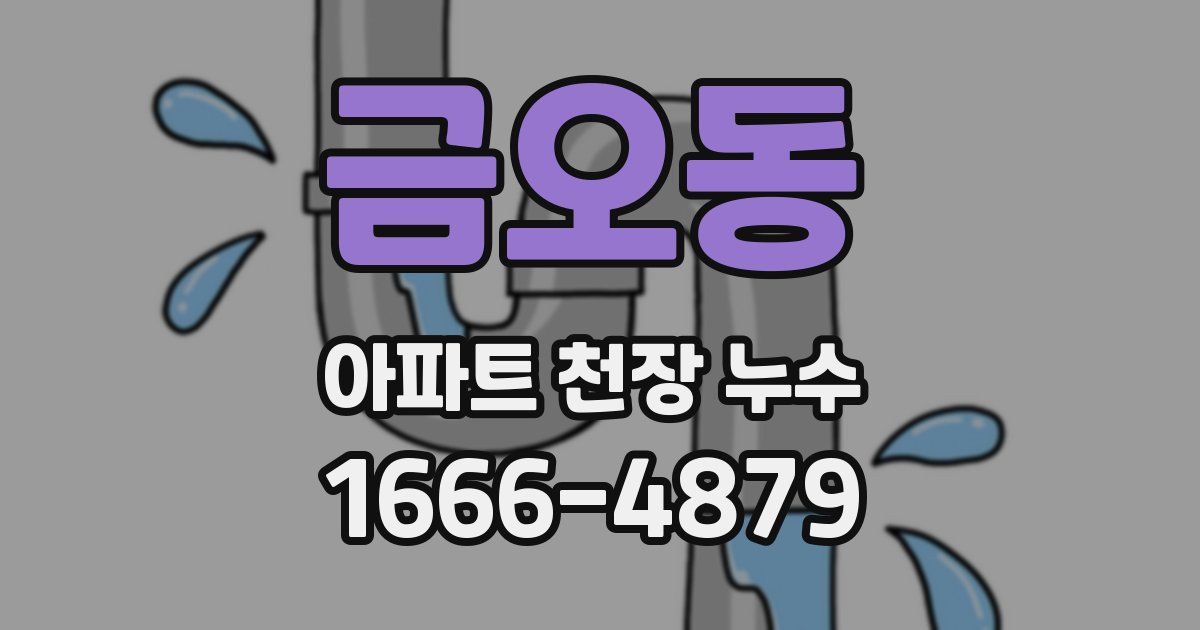금오동 아파트 천장 누수