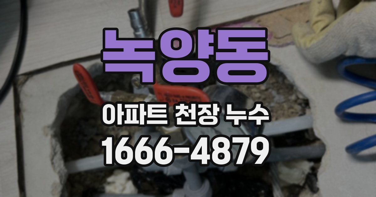 녹양동 아파트 천장 누수