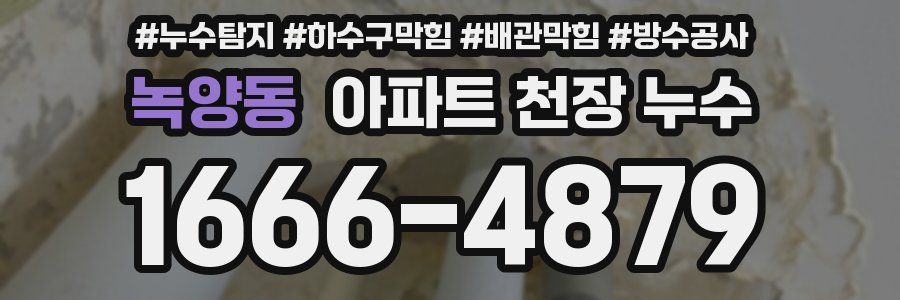 녹양동 아파트 천장 누수