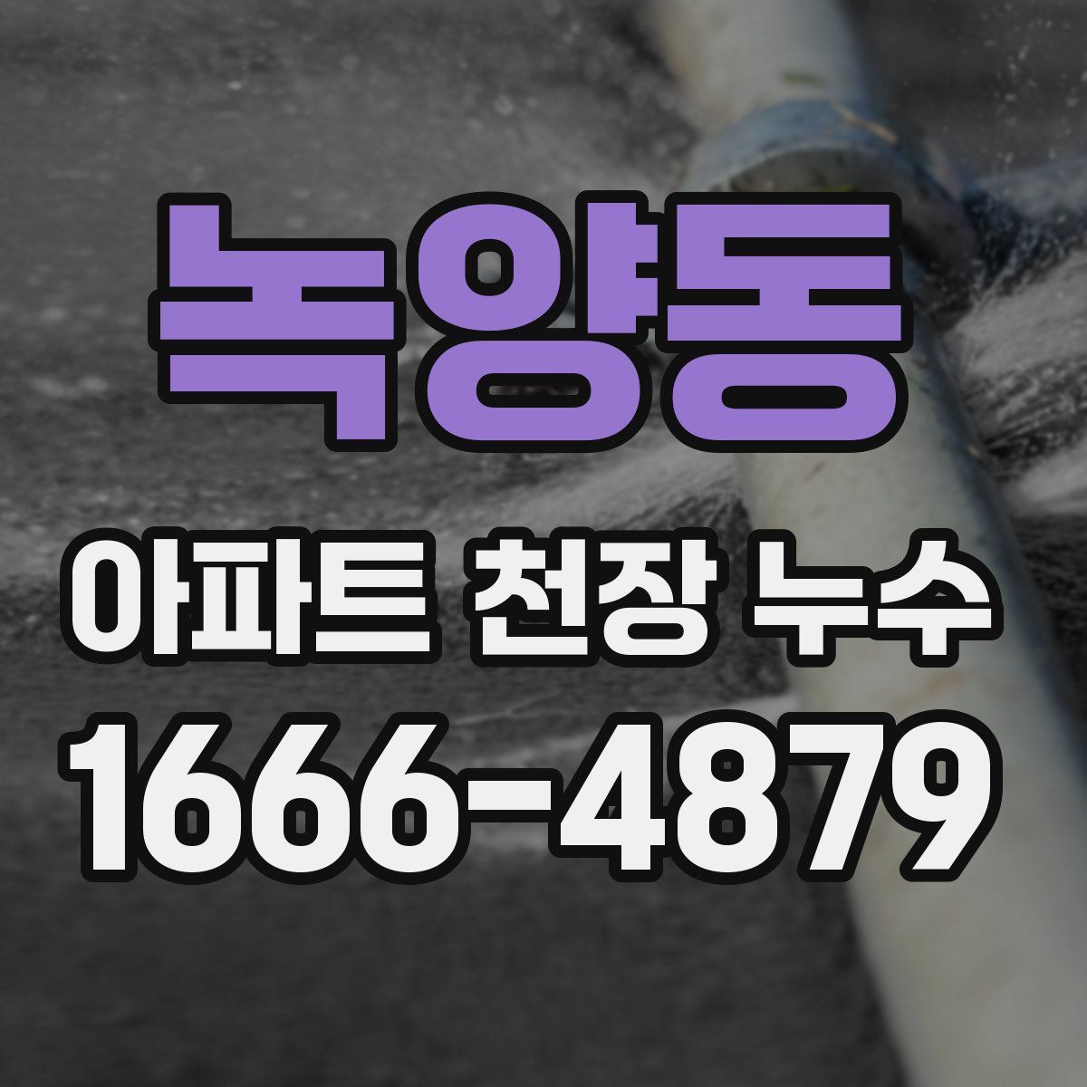 녹양동 아파트 천장 누수