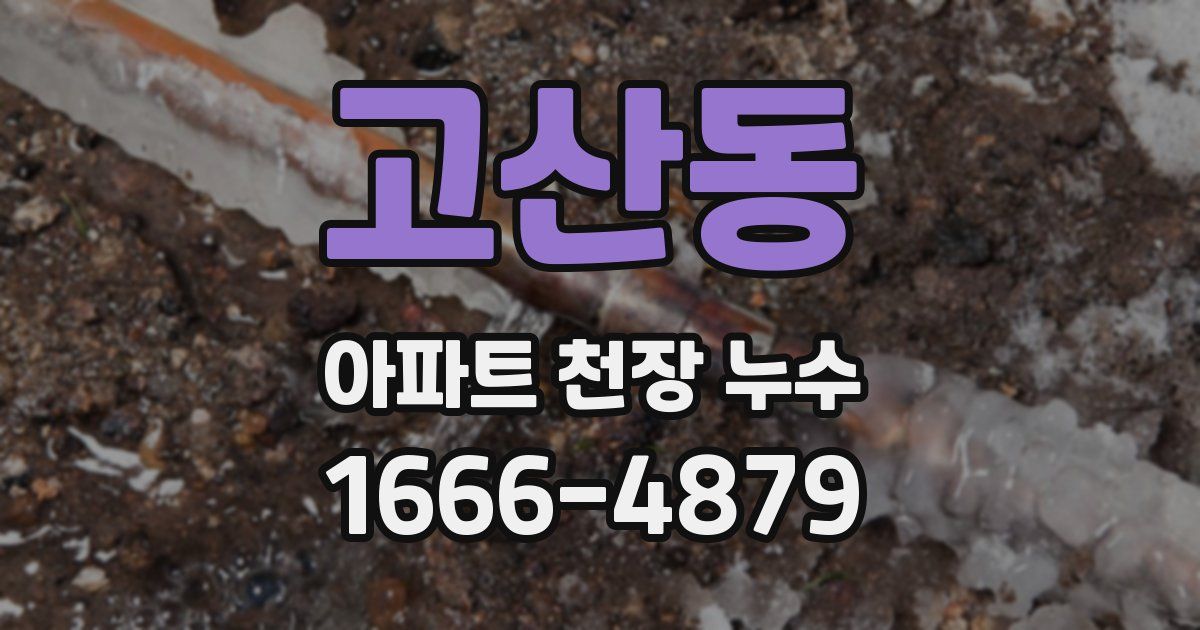 고산동 아파트 천장 누수
