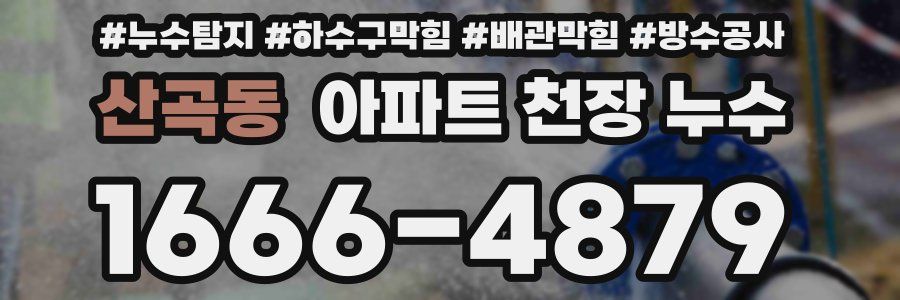 산곡동 아파트 천장 누수