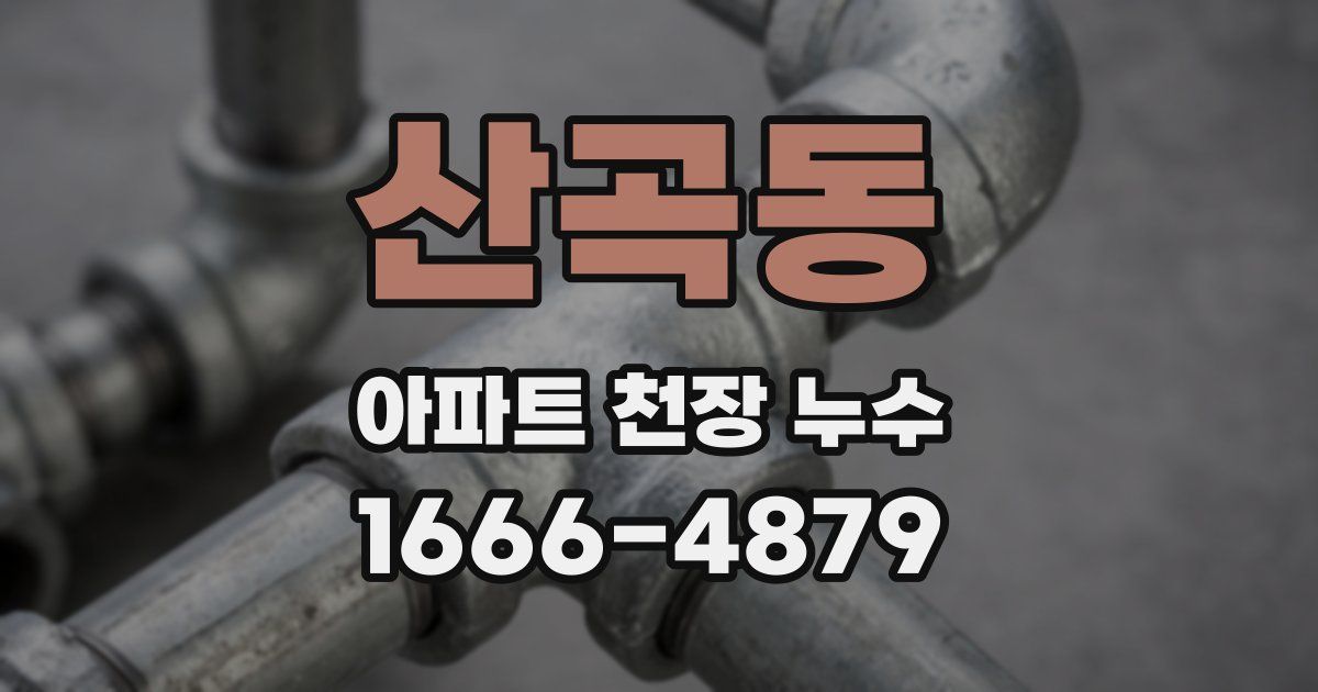산곡동 아파트 천장 누수