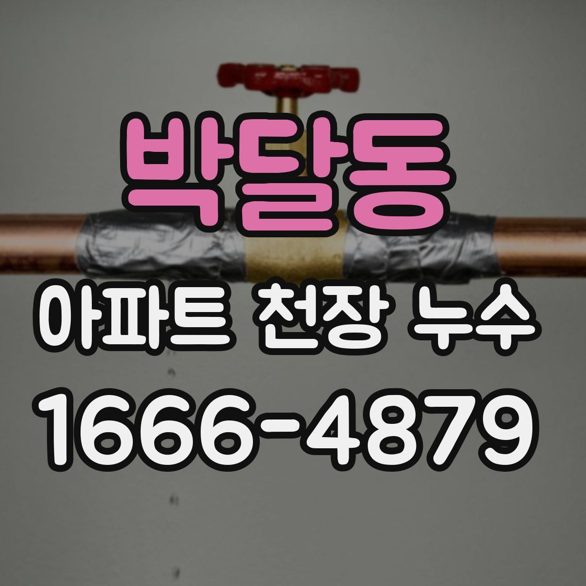 박달동 아파트 천장 누수