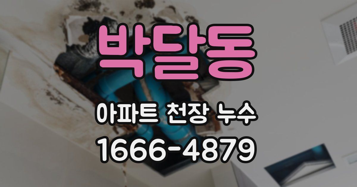 박달동 아파트 천장 누수