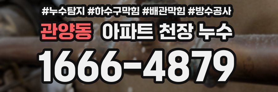 관양동 아파트 천장 누수