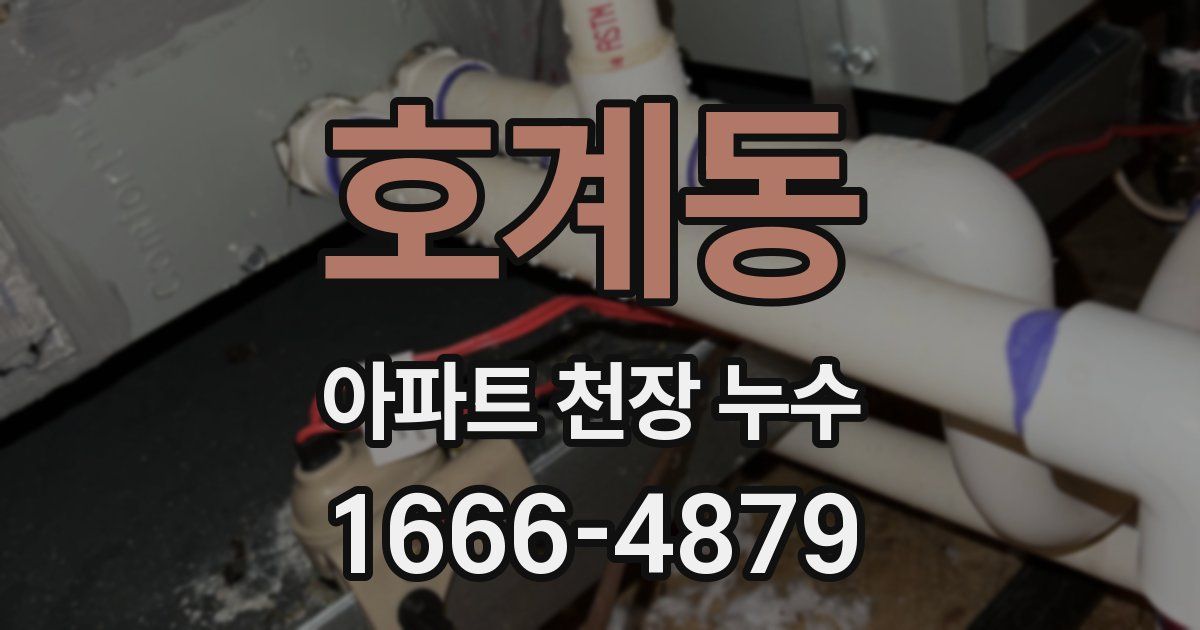 호계동 아파트 천장 누수