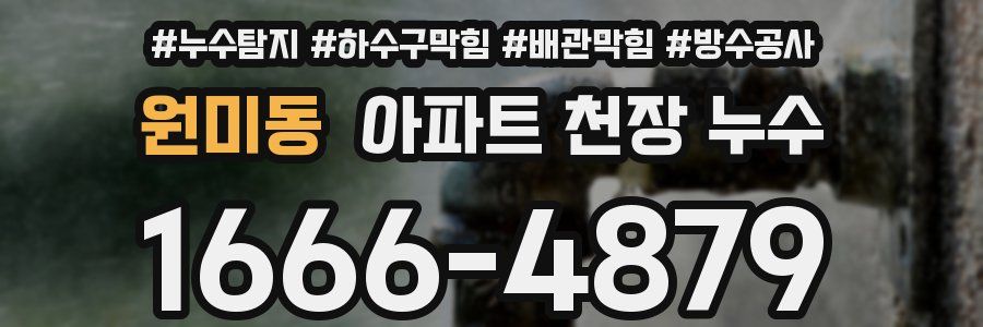 원미동 아파트 천장 누수