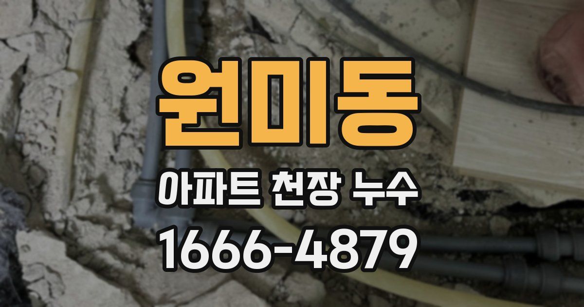 원미동 아파트 천장 누수