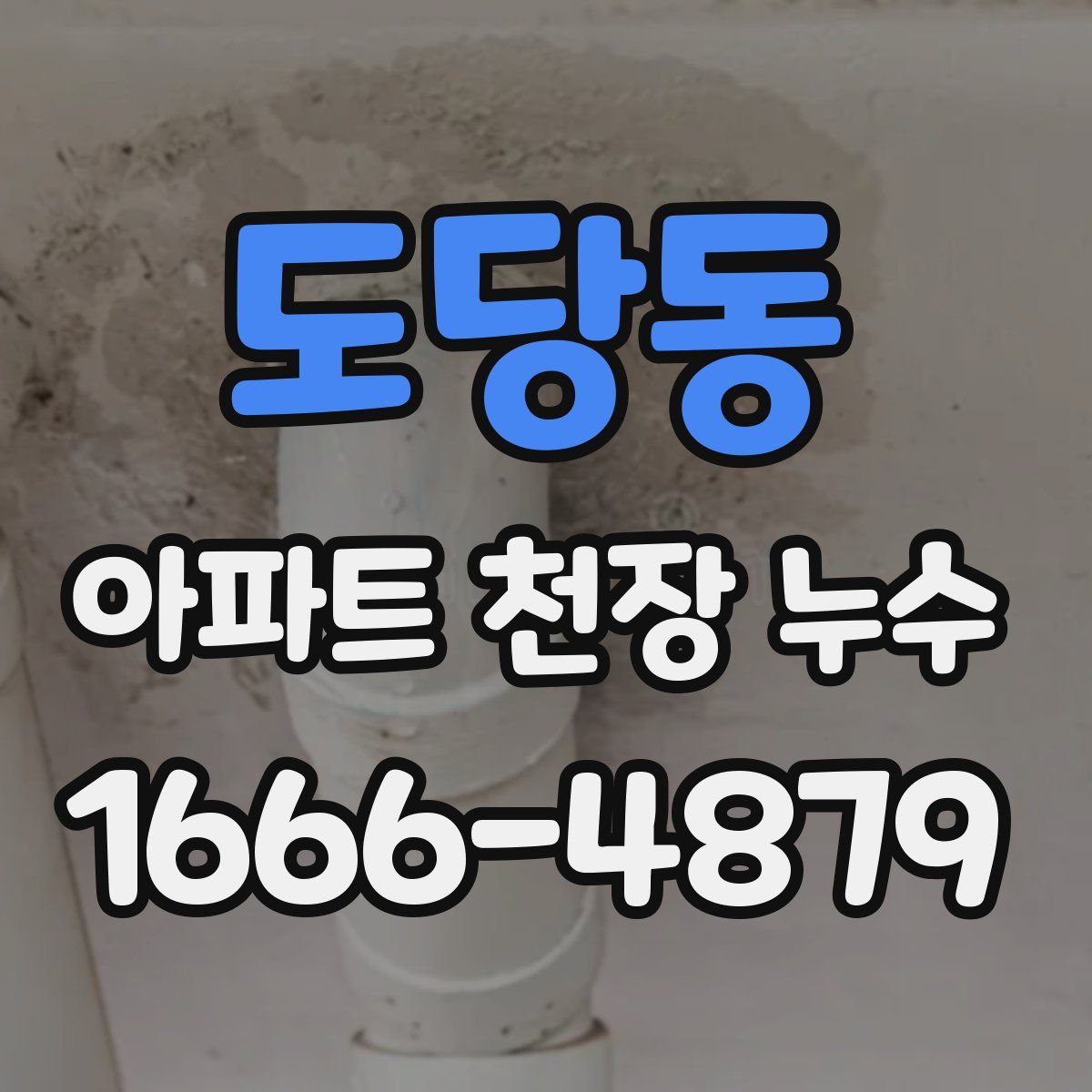 도당동 아파트 천장 누수