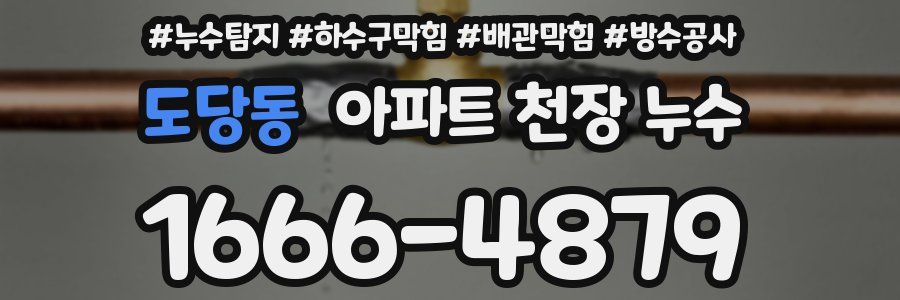 도당동 아파트 천장 누수