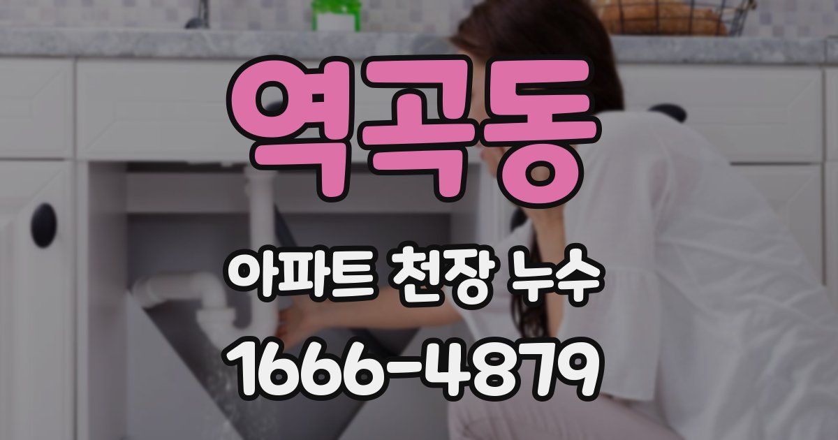 역곡동 아파트 천장 누수