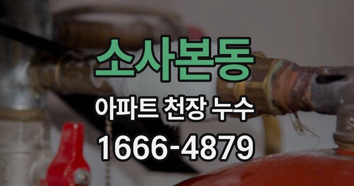 소사본동 아파트 천장 누수