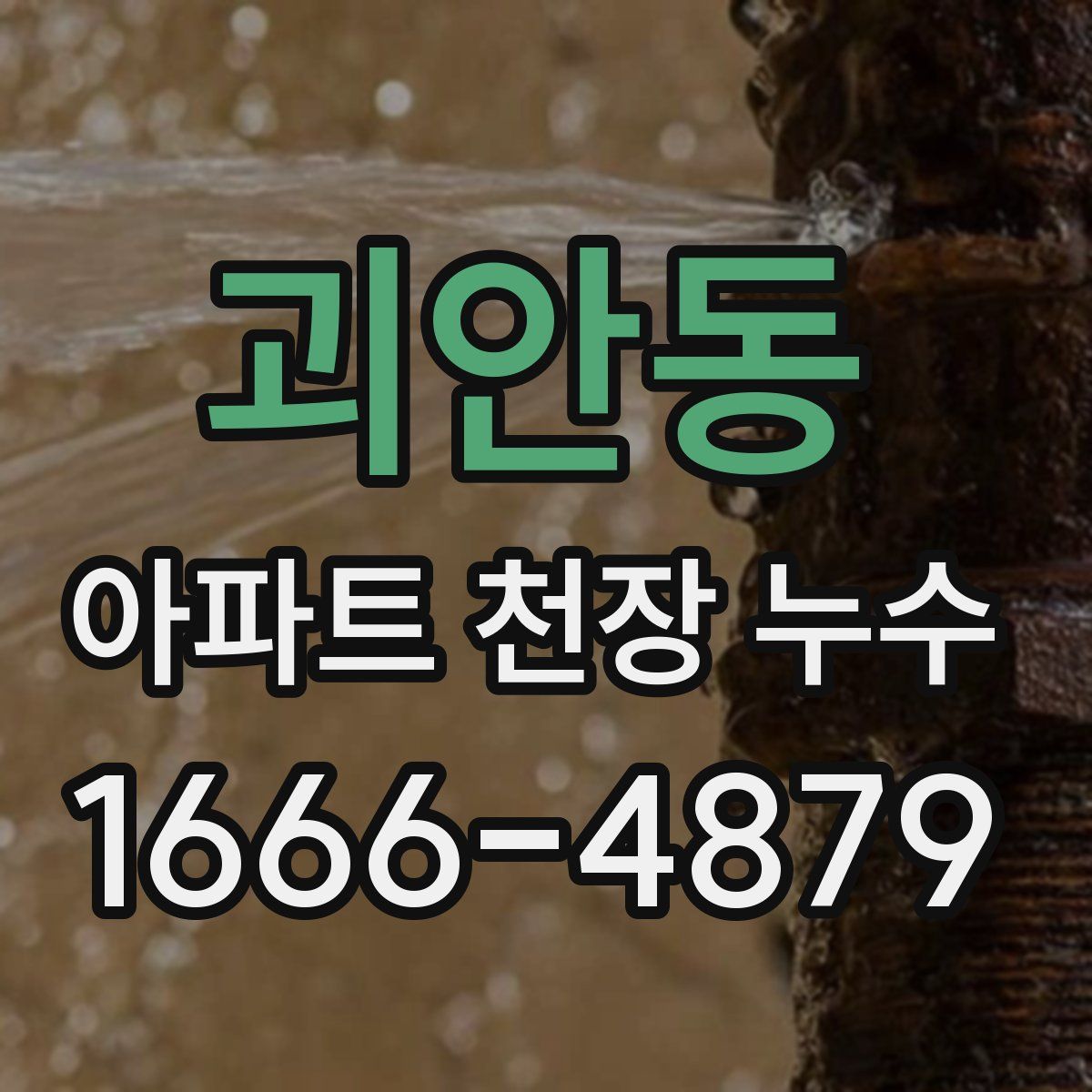 괴안동 아파트 천장 누수