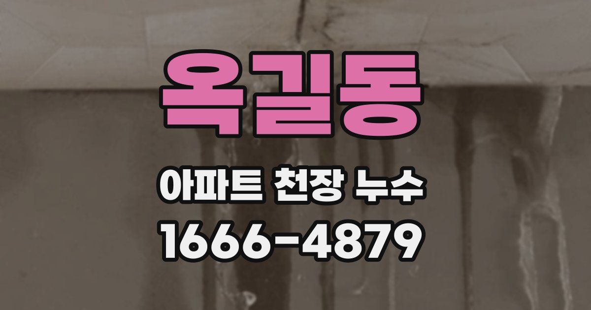 옥길동 아파트 천장 누수