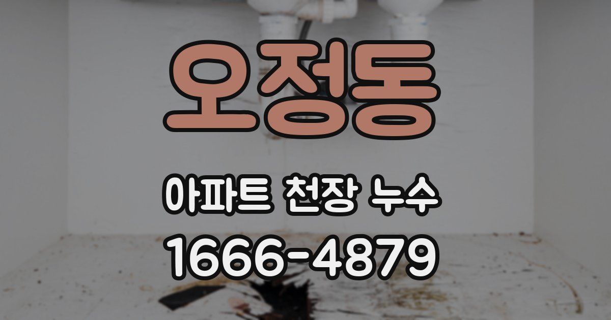 오정동 아파트 천장 누수