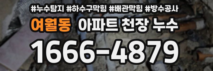 여월동 아파트 천장 누수