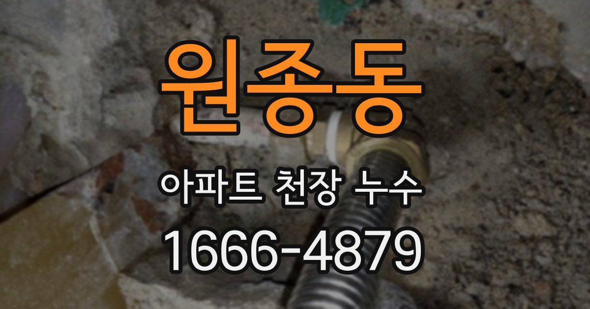 원종동 아파트 천장 누수