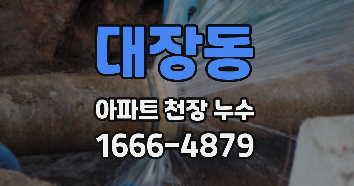 대장동 아파트 천장 누수