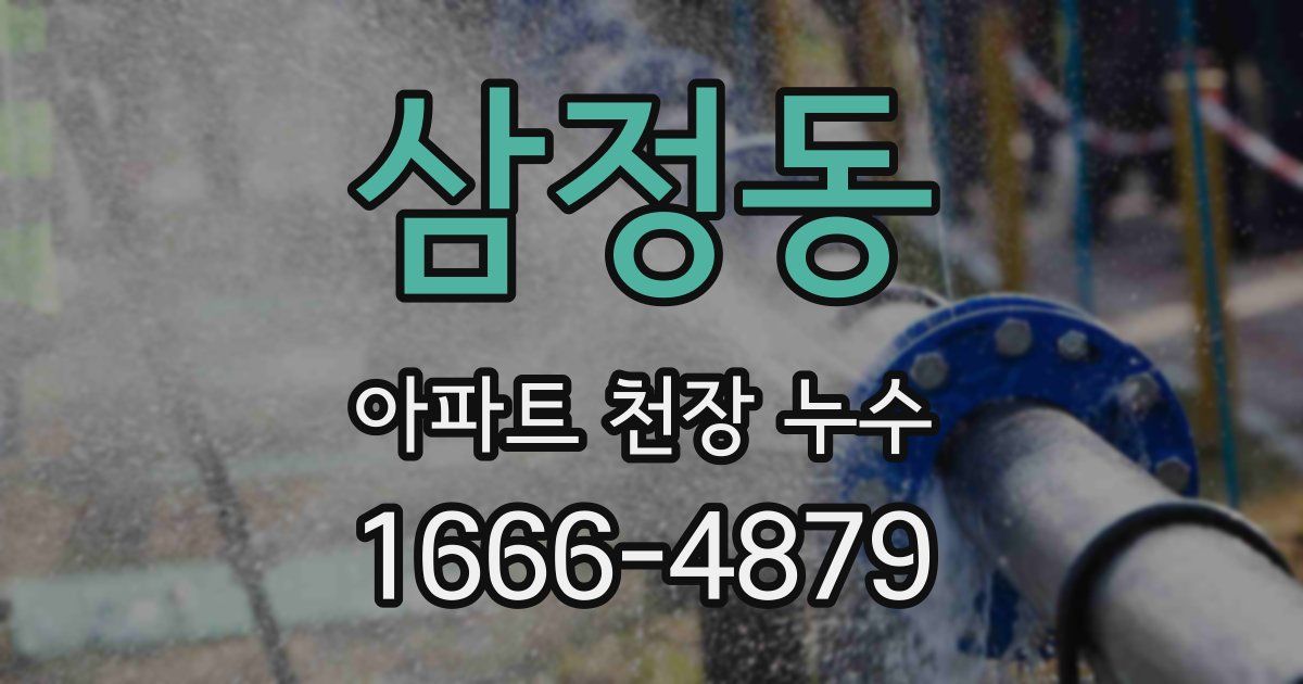 삼정동 아파트 천장 누수
