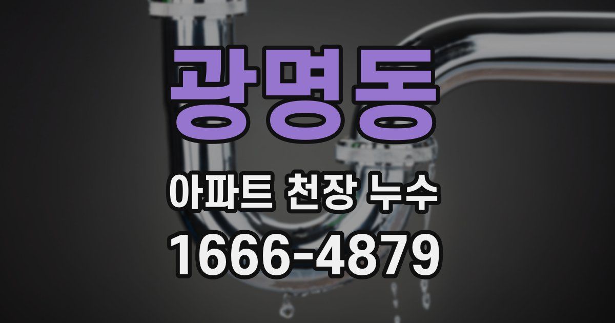 광명동 아파트 천장 누수