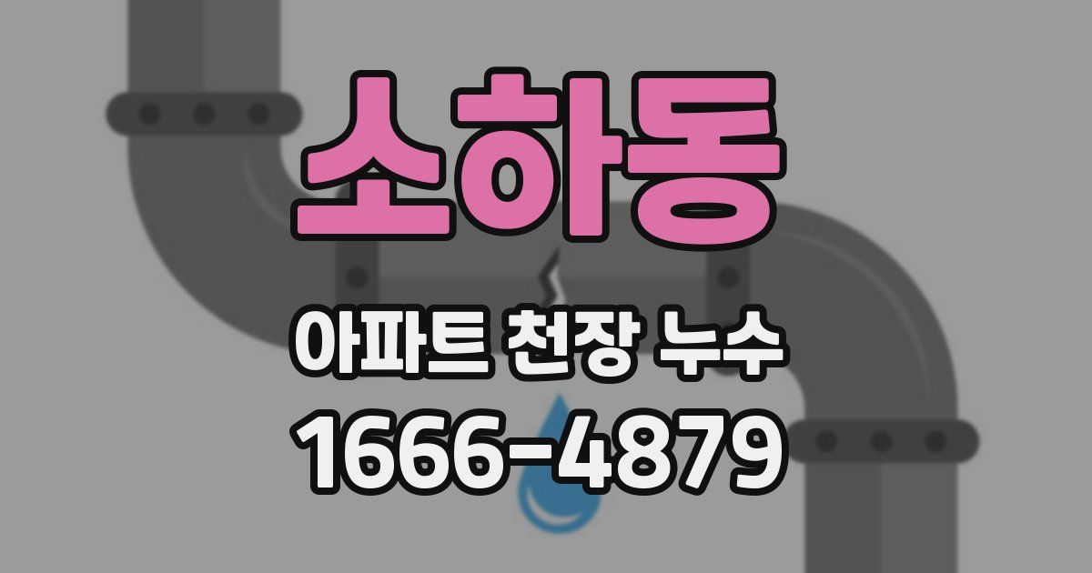 소하동 아파트 천장 누수