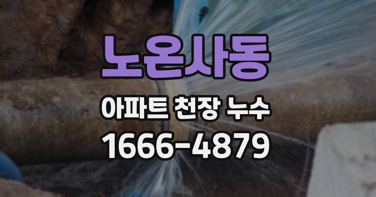 노온사동 아파트 천장 누수
