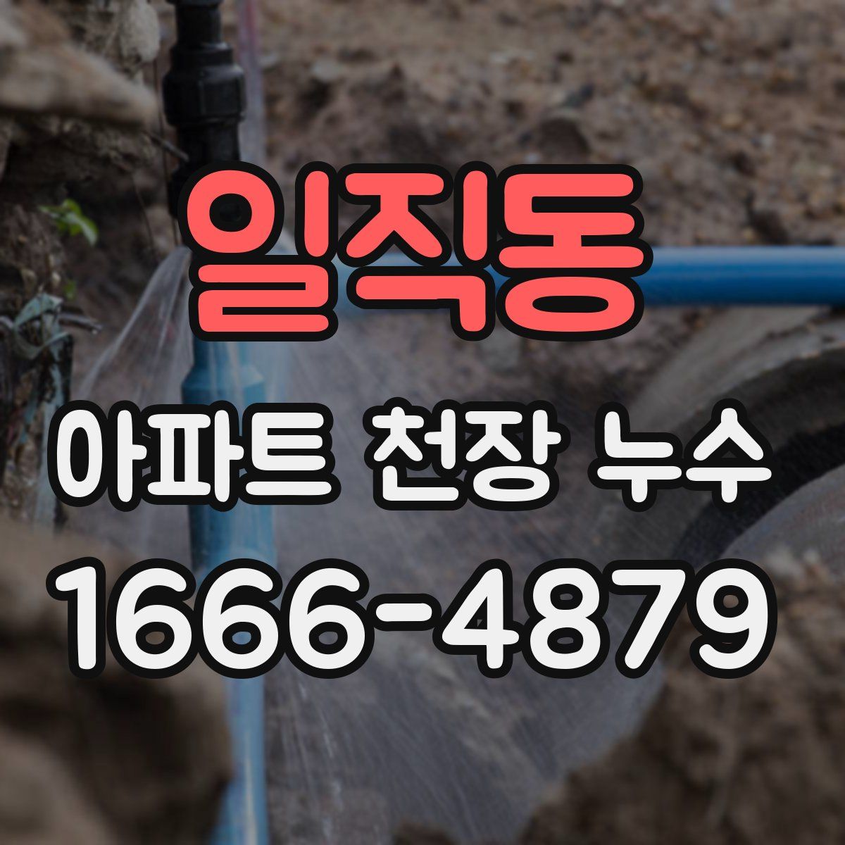 일직동 아파트 천장 누수