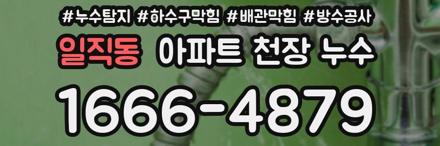 일직동 아파트 천장 누수