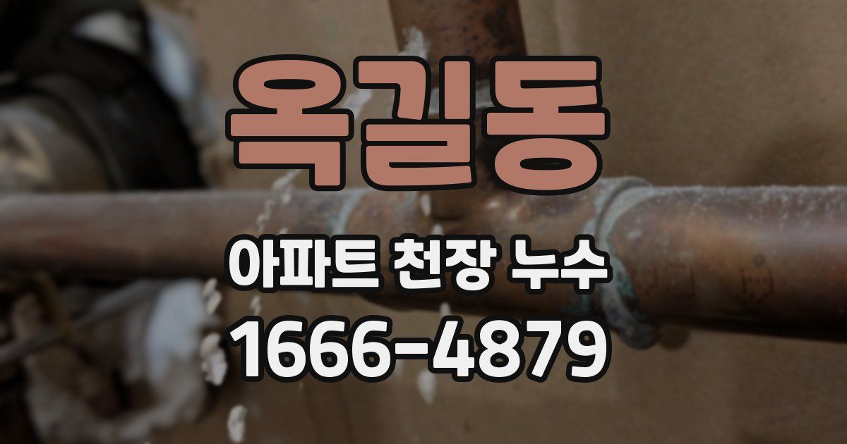 옥길동 아파트 천장 누수