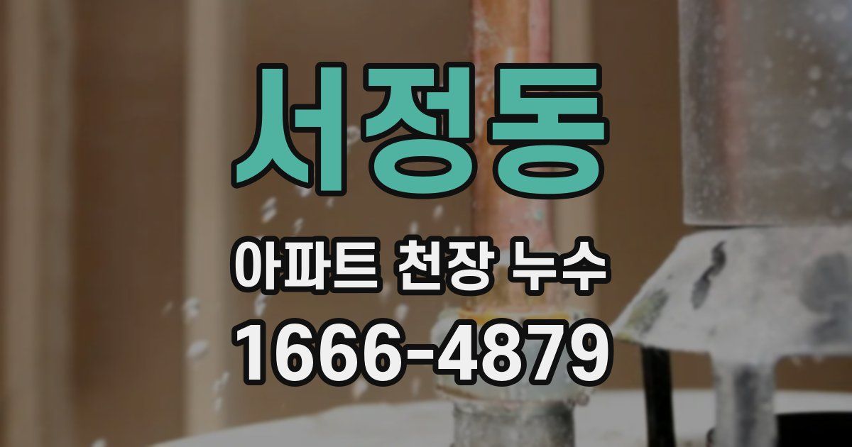 서정동 아파트 천장 누수