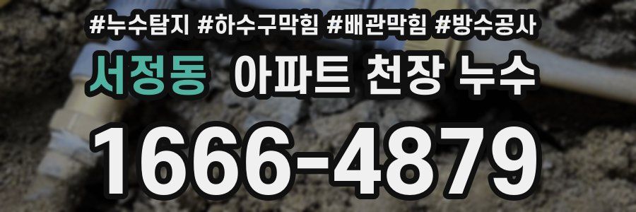 서정동 아파트 천장 누수