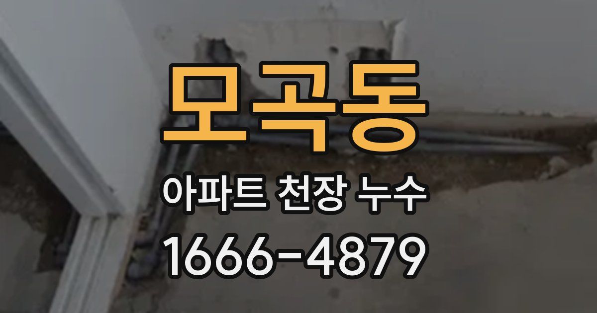 모곡동 아파트 천장 누수