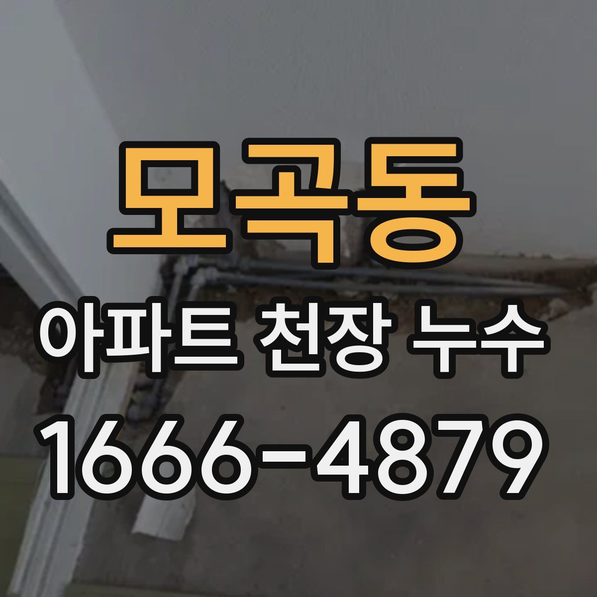 모곡동 아파트 천장 누수