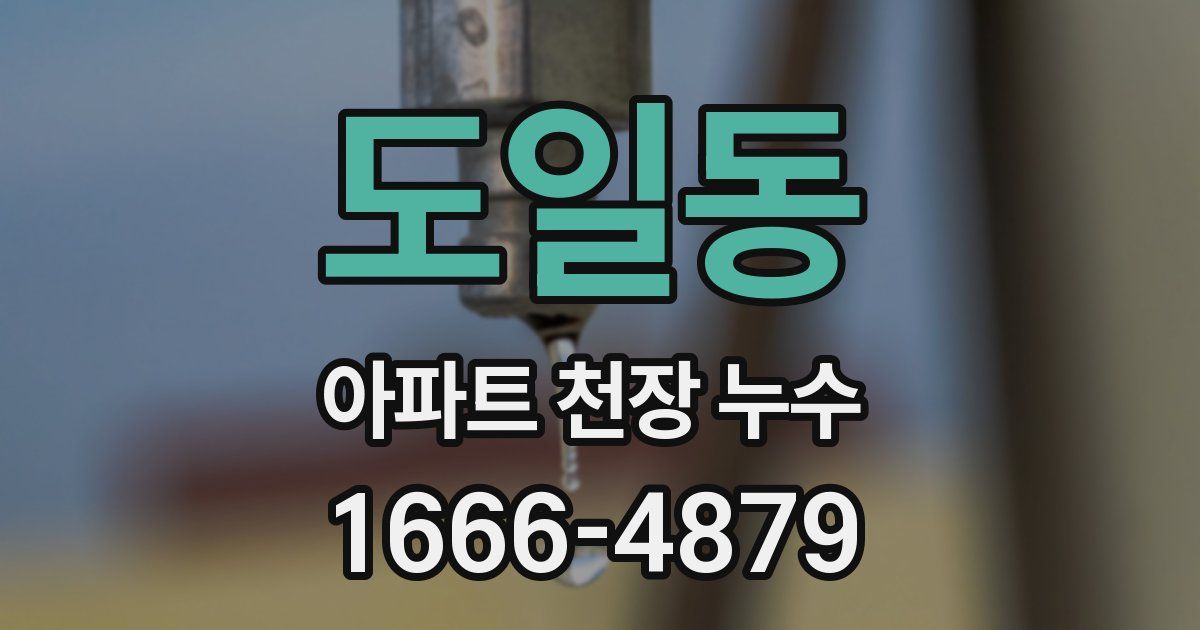 도일동 아파트 천장 누수