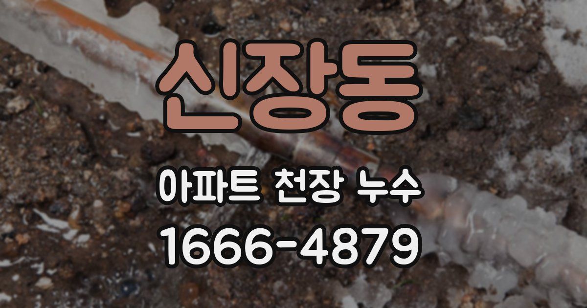 신장동 아파트 천장 누수